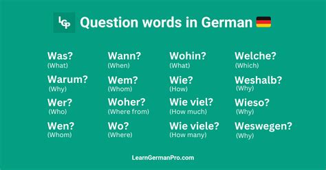 12 Essential German Question Words Every Beginner Needs To Know Ready To Start Asking Questions Like A Pro In German From Wer Who To Wann When These 12 Key Question Words 12 Essential German Question Words Every Beginner Needs To Know Ready To Start Asking Questions Like A Pro In German From Wer Who To Wann When These 12 Key Question Words