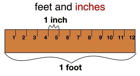 5 Feet 7 Inches To Inches