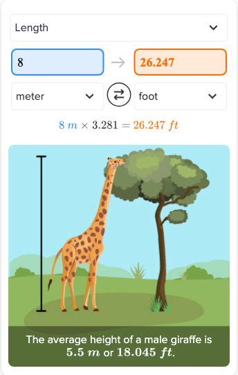 8 M In Feet