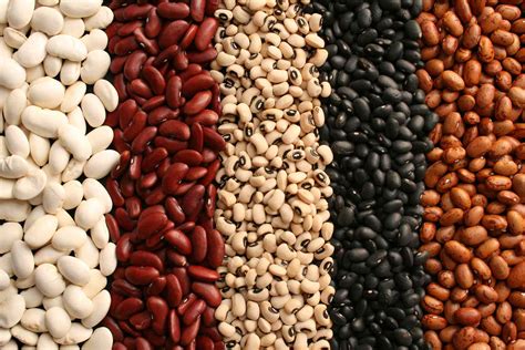 Are Beans Vegetables