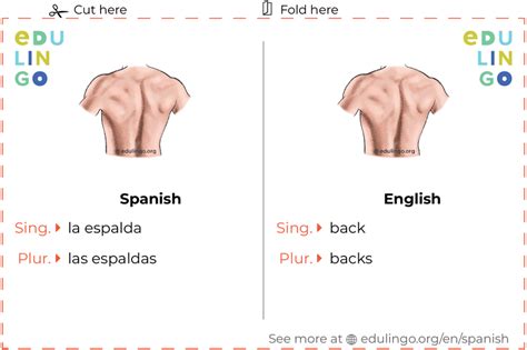Back In Spanish