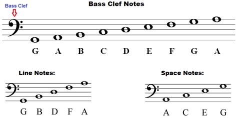 Bass Clef Notes Bass Clef Notes