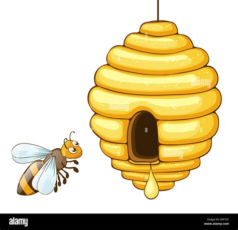 Bee Flying And Beehive With Honey Drop Stock Photo Alamy Bee Flying And Beehive With Honey Drop Stock Photo Alamy