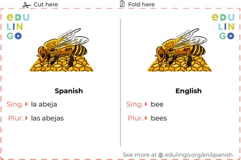Bee In Spanish