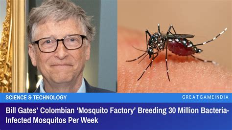 Bill Gates Mosquitoes