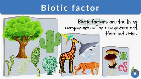 Biotic Factors Examples