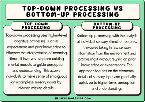 Bottom Up Vs Top Down Processing