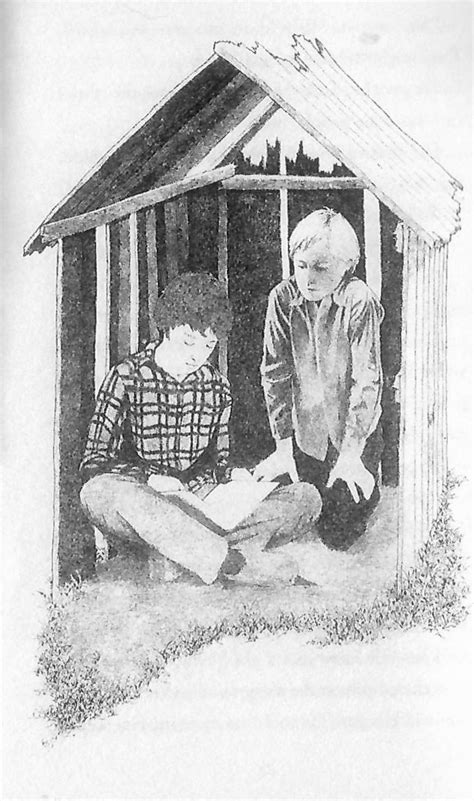 Bridge To Terabithia Book Illustrations Bridge To Terabithia Book Illustrations