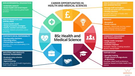 Bsc Health And Medical Sciences Bsc Health And Medical Sciences