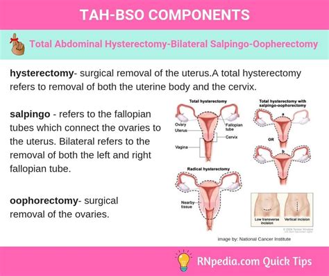 Bso Medical Abbreviation