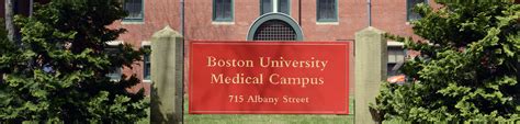 Bu Faculty Link