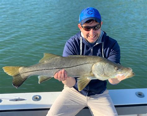 Check Out These Snook Fishing Tips And Tricks Fort Myers Fl Check Out These Snook Fishing Tips And Tricks Fort Myers Fl