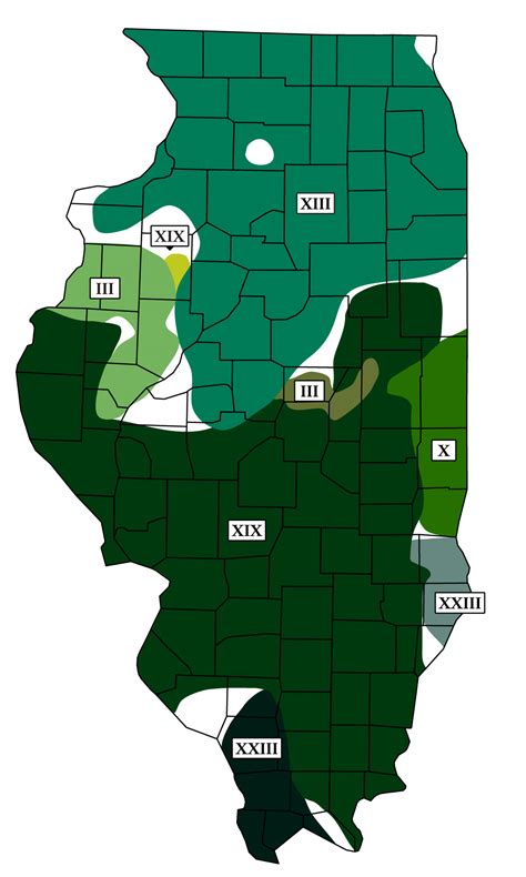 Cicadas 2024 Illinois Map