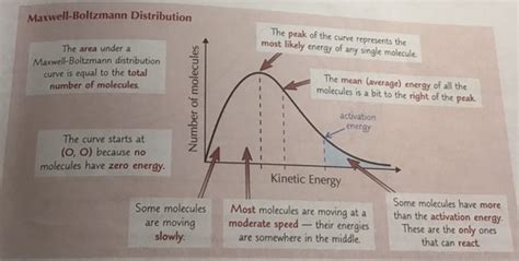 Collision Theory The Maxwell Boltzmann Distribution And Catalysts Flashcards Quizlet Collision Theory The Maxwell Boltzmann Distribution And Catalysts Flashcards Quizlet