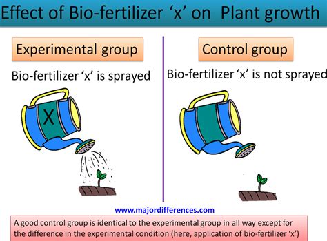 Control Group Definition And Examples Control Group Definition And Examples