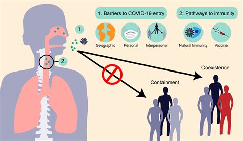 Covid 19 And Emerging Viral Diseases The Journey From Animals To Covid 19 And Emerging Viral Diseases The Journey From Animals To