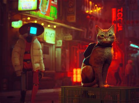 Download Video Game Stray Hd Wallpaper Download Video Game Stray Hd Wallpaper