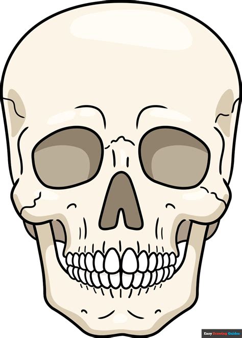 Easy Human Skull Drawing Easy Human Skull Drawing