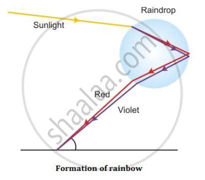 Explain How The Formation Of A Rainbow Occurs Science And Technology Explain How The Formation Of A Rainbow Occurs Science And Technology