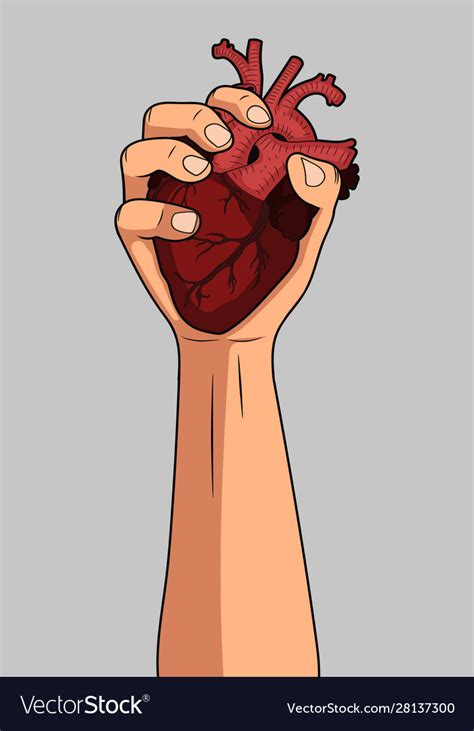 Hand Heart Anotomical