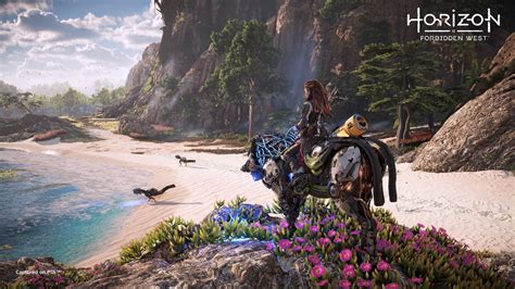 Horizon Forbidden West Guide 12 Tips And Tricks To Keep In Mind Horizon Forbidden West Guide 12 Tips And Tricks To Keep In Mind
