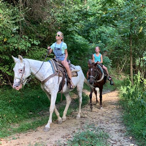 Horseback Riding Near Me