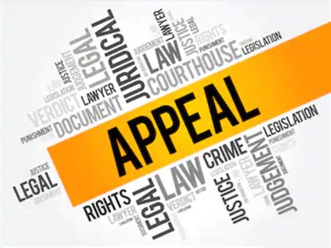 How Long After A Court Case Can You Appeal At Stephen Kirk Blog How Long After A Court Case Can You Appeal At Stephen Kirk Blog