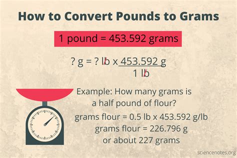 How Many Grams In A Pound Free Printable Chart Food Lovin How Many Grams In A Pound Free Printable Chart Food Lovin