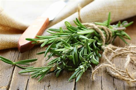 How To Trim Herbs Fresh Herb Garden Health How To Trim Herbs Fresh Herb Garden Health