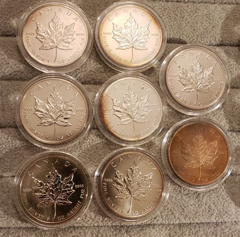 I Got 6 Mislabeled S 5 Maples For 22 Ea Last Month Collectors Universe I Got 6 Mislabeled S 5 Maples For 22 Ea Last Month Collectors Universe