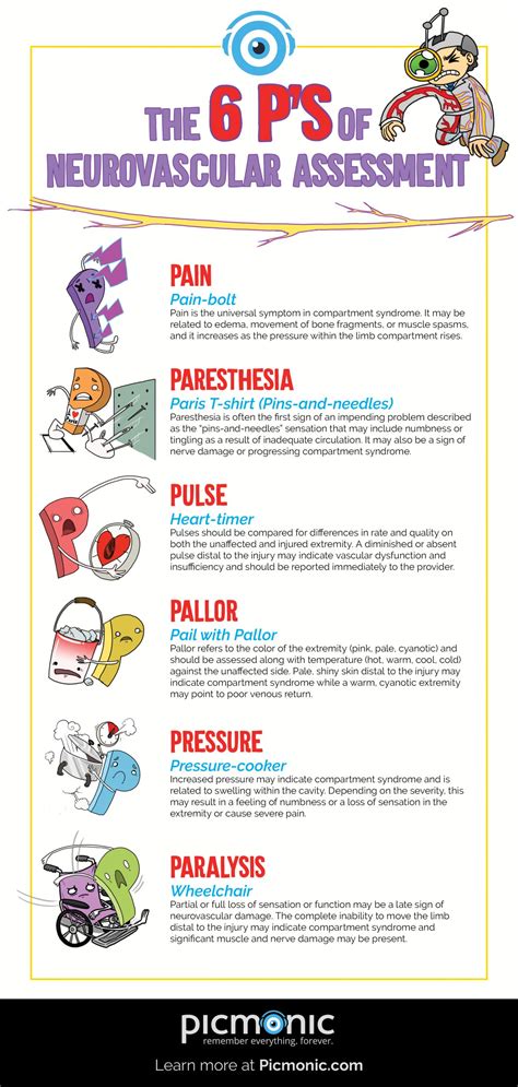 Infographic How To Study Neurovascular Assessment 6 P S Nursing Infographic How To Study Neurovascular Assessment 6 P S Nursing