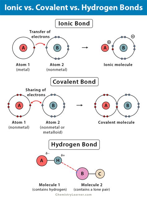 Is Water Ionic Or Covalent Is Water Ionic Or Covalent