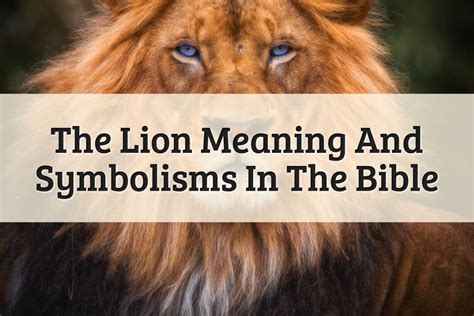Lion In The Bible