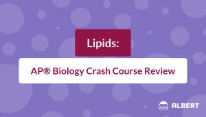 Lipids Ap Biology Crash Course Review Albert Io Lipids Ap Biology Crash Course Review Albert Io