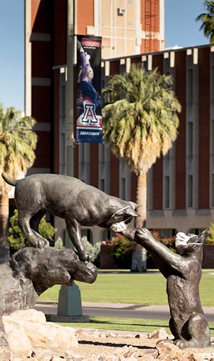 Make Uofa Comprehensive Plan Transparent Inclusive And Fair Arizona Make Uofa Comprehensive Plan Transparent Inclusive And Fair Arizona