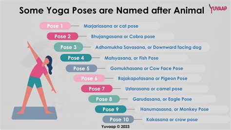 Many Yoga Poses Are Named After Animals The Reason Is Obvious For Most