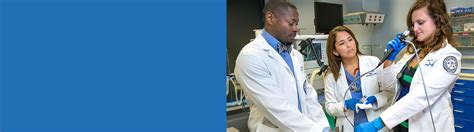 Master Of Science In Anesthesia Nsu College Of Health Care Sciences Master Of Science In Anesthesia Nsu College Of Health Care Sciences
