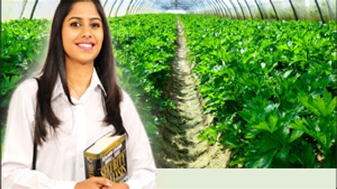 Mba In Agri Business Management Prospects Career Options