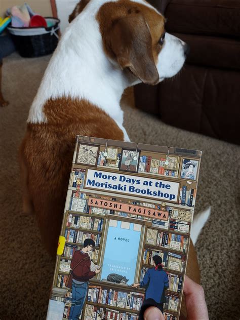 More Days At The Morisaki Bookshop By Amy Lerner Mar 2025 Medium More Days At The Morisaki Bookshop By Amy Lerner Mar 2025 Medium