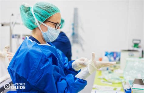 Msn To Dnp Programs