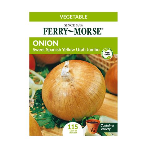 Onion Sweet Spanish Yellow Utah Seeds Vegetable Garden Ferry Morse Onion Sweet Spanish Yellow Utah Seeds Vegetable Garden Ferry Morse