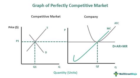 Perfectly Competitive Market