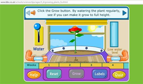 Plant Games For Kids Your Tropical Island Is Waiting For You Plant Games For Kids Your Tropical Island Is Waiting For You