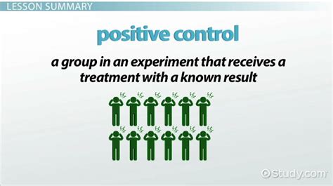 Positive Control Group Purpose Experiment Examples Lesson Positive Control Group Purpose Experiment Examples Lesson