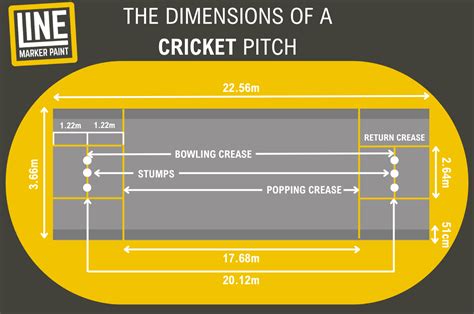 Practice Cricket Pitch Dimensions At Edward Diaz Blog