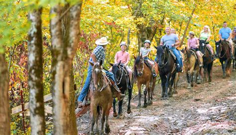 Premiere Horseback Riding In Pigeon Forge Five Oaks Riding Stables Premiere Horseback Riding In Pigeon Forge Five Oaks Riding Stables