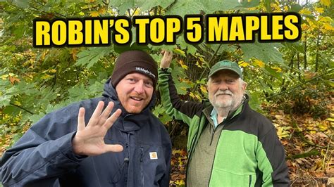 Robin Gardner S Top 5 Maples On Location In Canada Youtube Robin Gardner S Top 5 Maples On Location In Canada Youtube