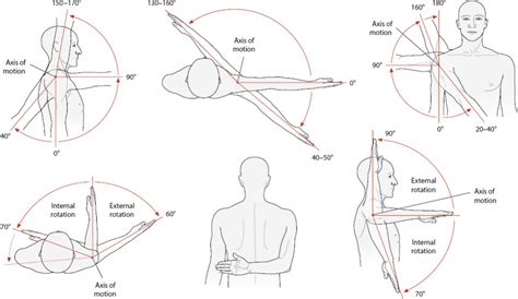 Shoulder Range Of Motion