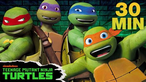 Teenage Turtles Facts