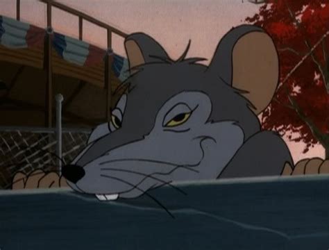 Templeton Of Charlotte's Web